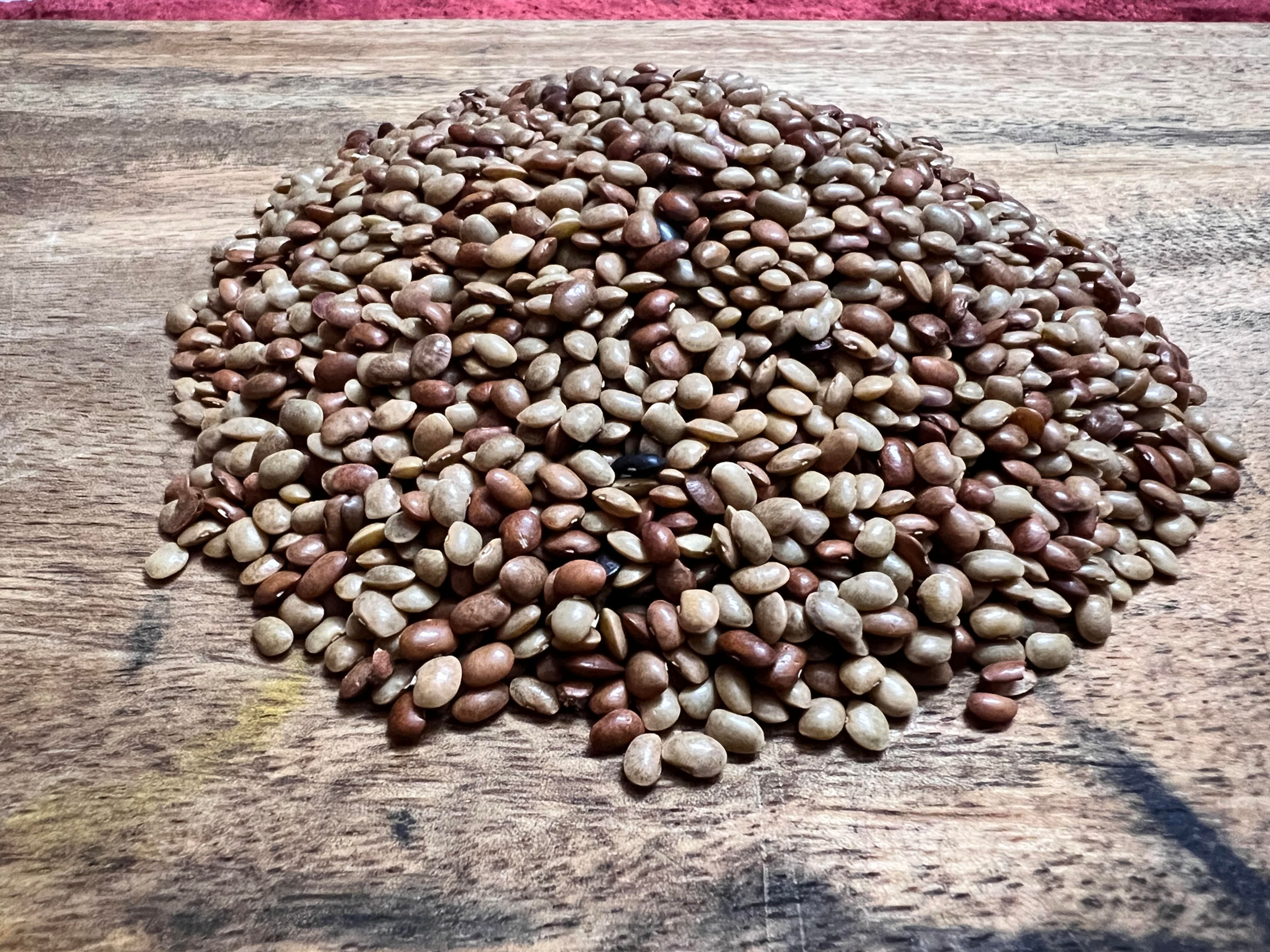 Horse gram