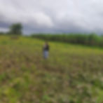farmer