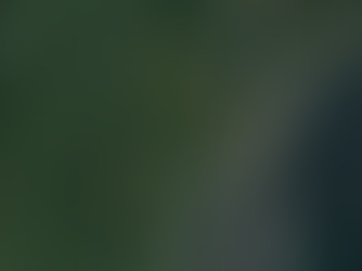 016 比良山 清掃合同ワンデリング1977