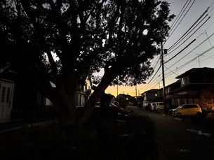 働いて見えた景色