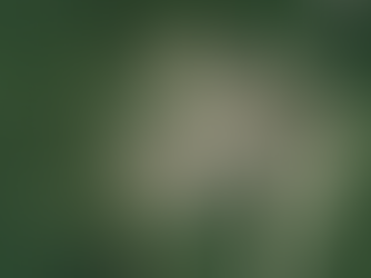 030 大雪山 春合宿1978