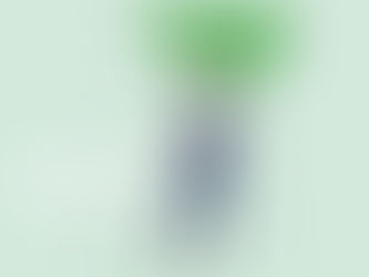 紙と記憶その12「私」