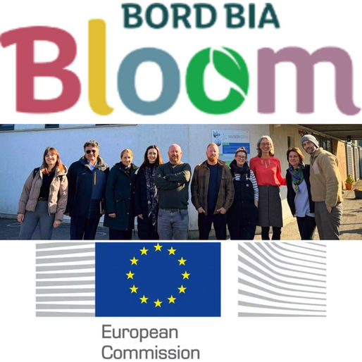 Unveiling the Journey: The Journey Begins ; Bloom Ireland 2025