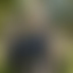 Do I need planning permission for a garden room/Structure. An easy guide !