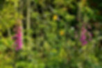 065_bloom 2025_styled.jpeg