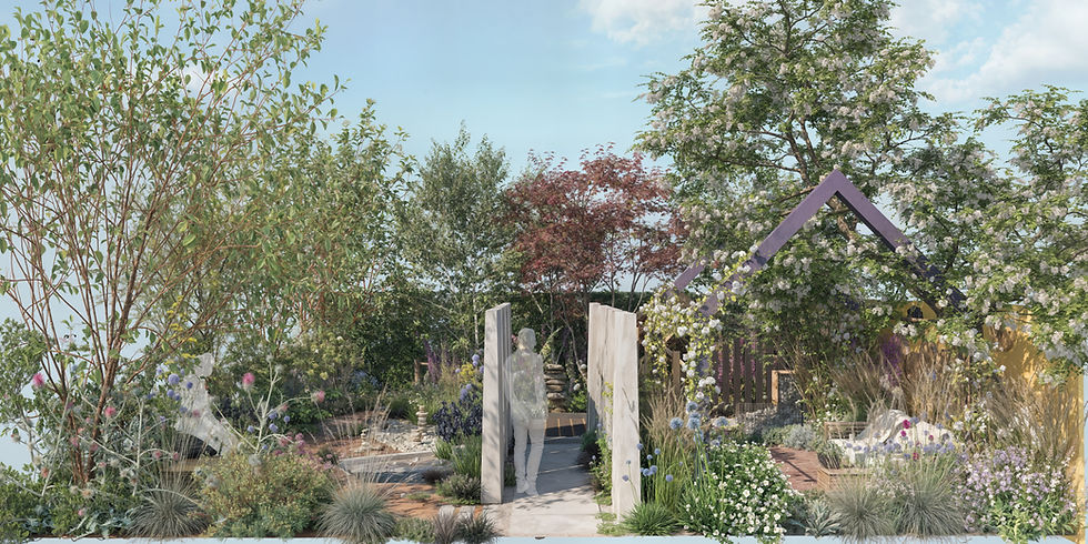 Back to Ireland — Building Something That Matters