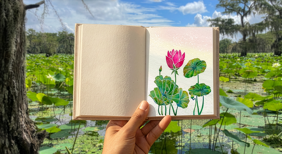 JordeeStudio-Lotus-Sketchbook.png