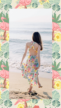 RLC-Flamingo-Beach4.png