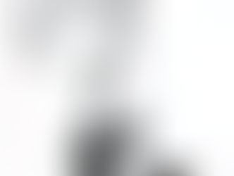ペン入れ