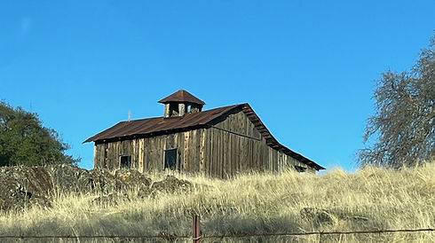 BARN_edited_edited.jpg