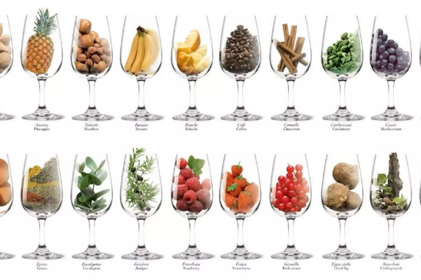 Original_17788_wine-aroma-chart.jpg.webp