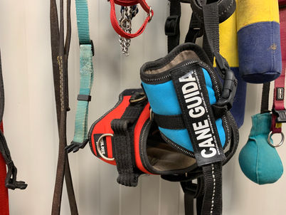 2 occhi per chi non vede