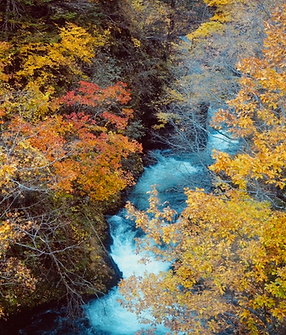 スクリーンショット 2022-12-15 18.26.34.png