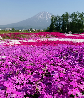 スクリーンショット 2022-12-15 18.23.25.png