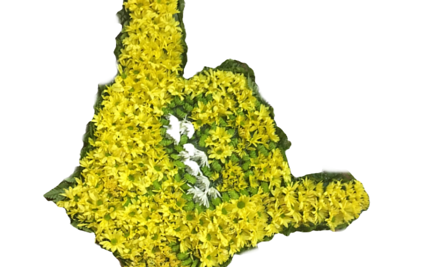 IMG_4346_800 Resize_edited_edited_edited_edited_edited.png