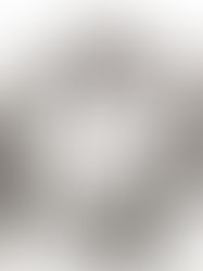 When the Phoenix No Longer Wants to Rise