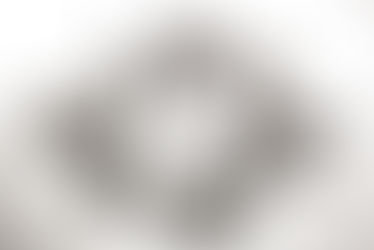 When the Phoenix No Longer Wants to Rise