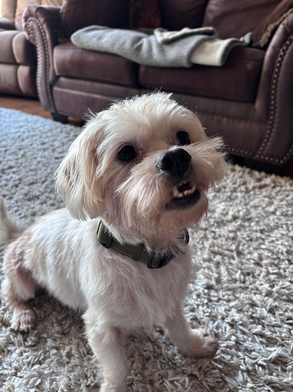 A36B3439-43D8-41F9-856A-C2BF4DF03261