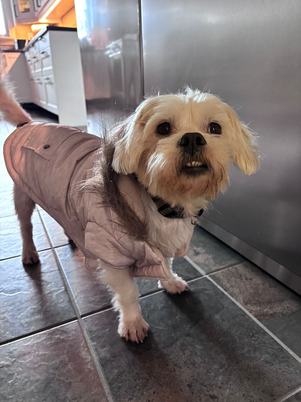 5D562A85-3618-4695-9060-65D5322F82C0