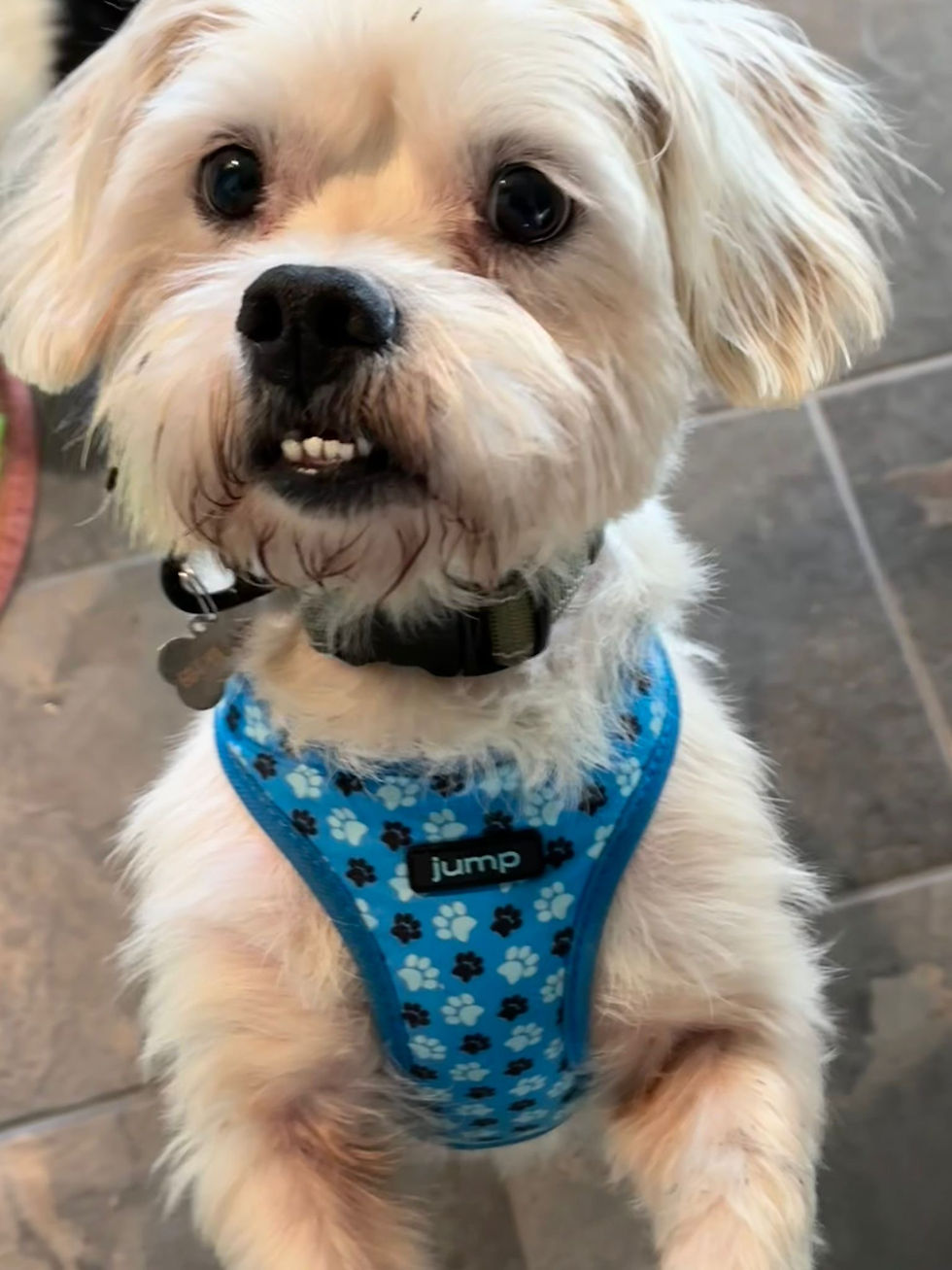 6538EB5F-6F4C-48F1-A84B-1A8E8B29C1F5