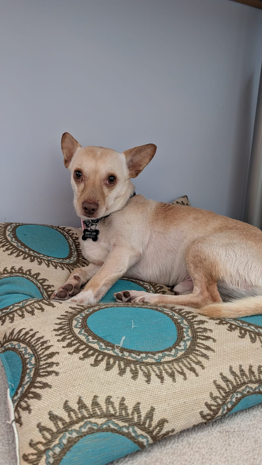 594cfbed-abfd-45ab-a6d3-8c6e575846a0