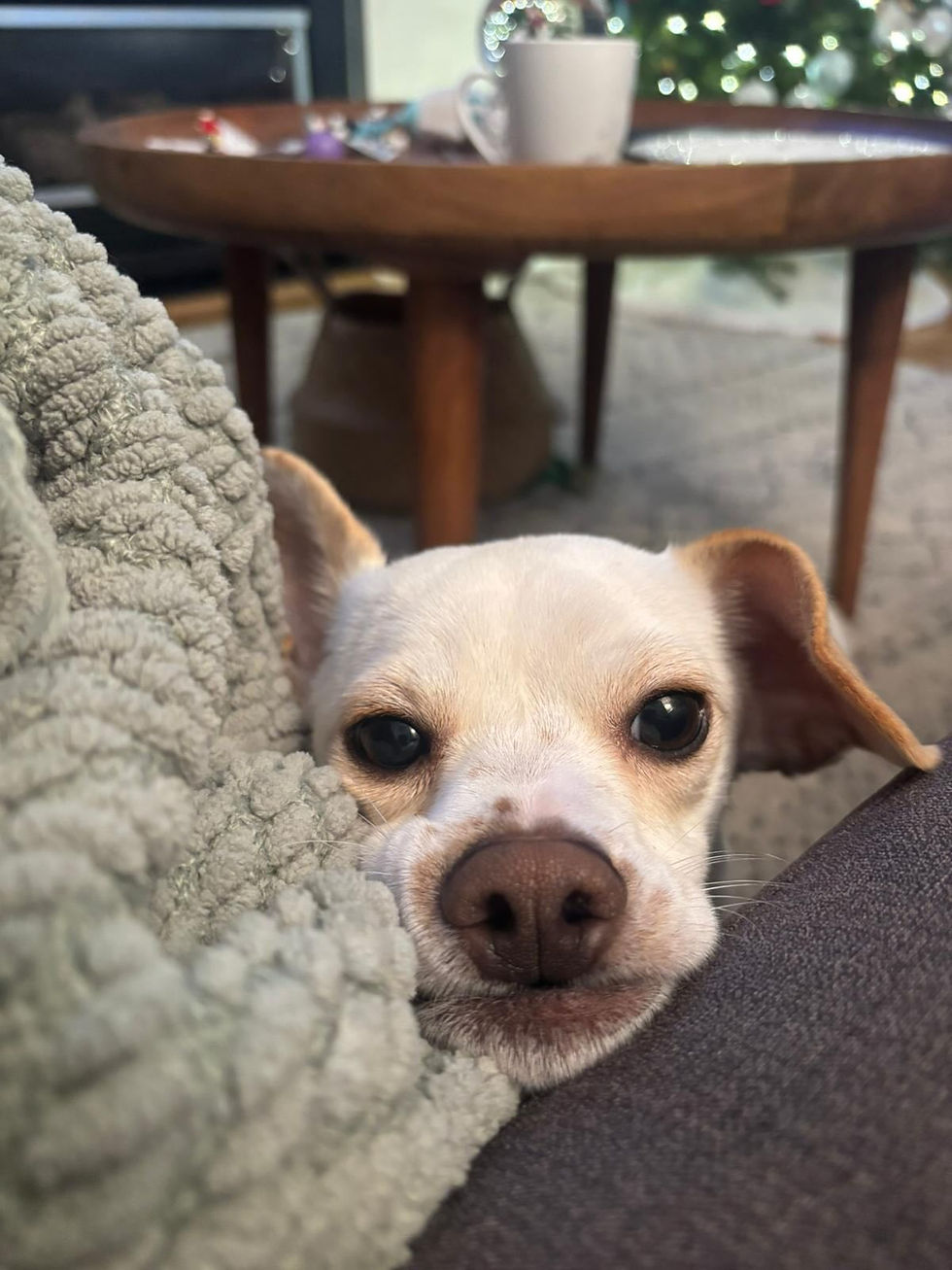 605243987_17977182014955956_5946026475526141879_n