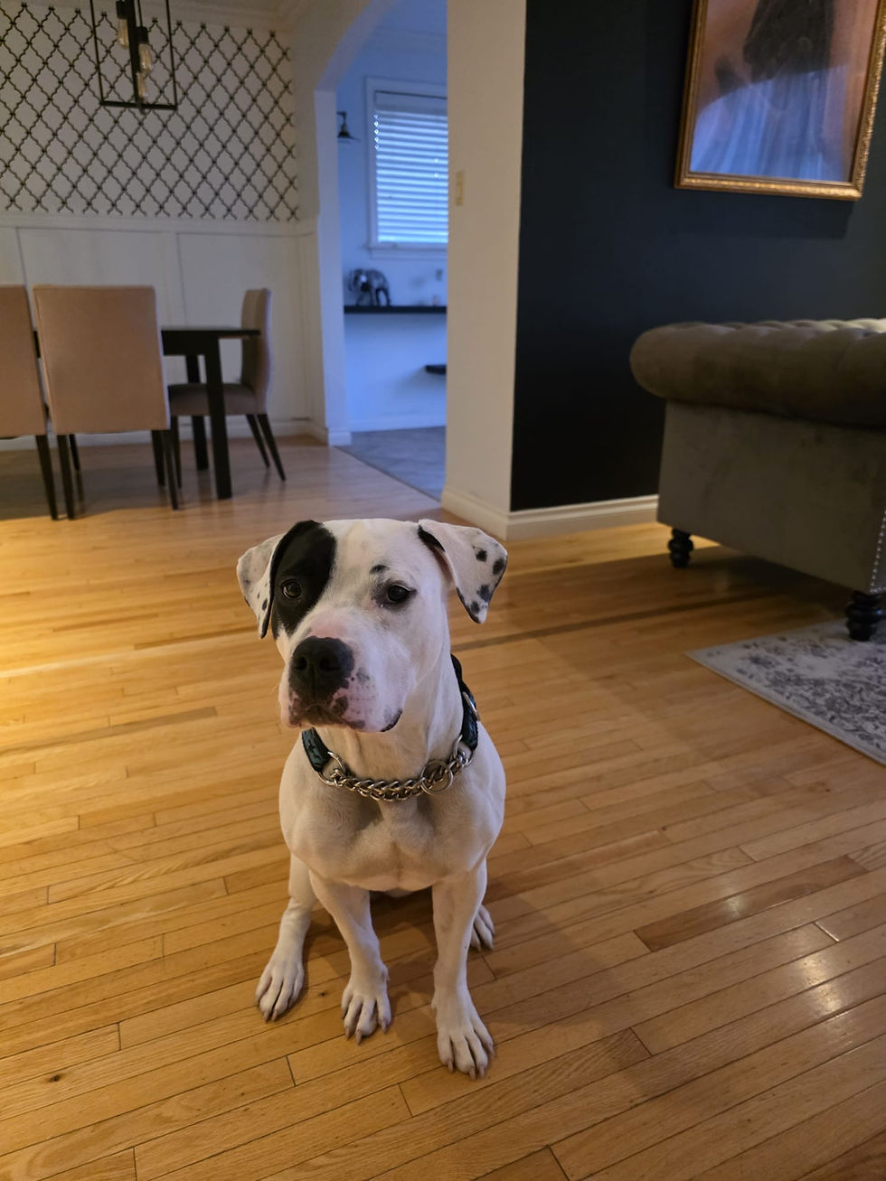 2e4e0a39-422f-4825-a29f-80ab6220f7b6