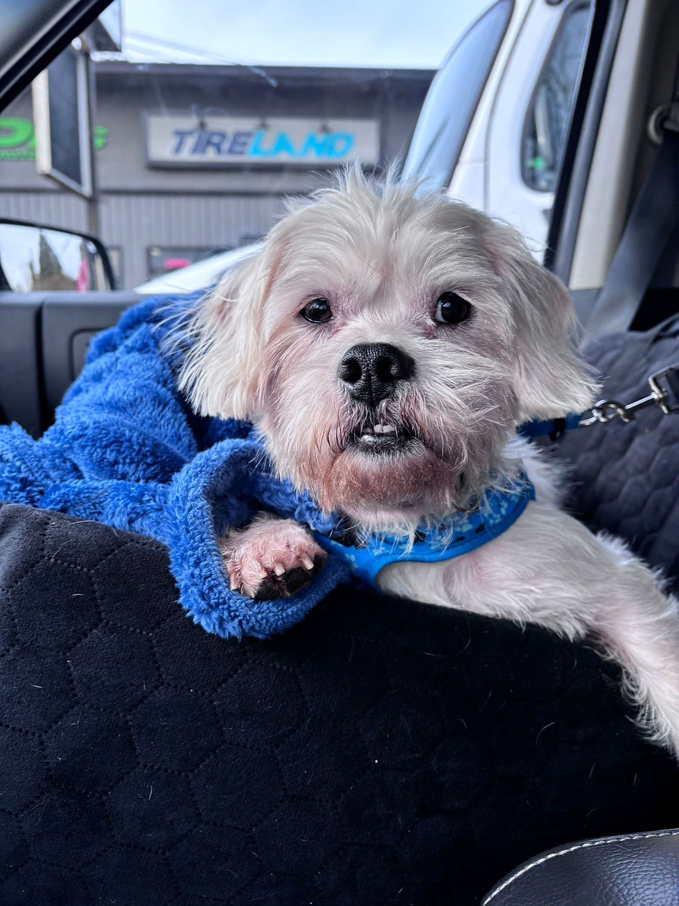 3957B1E6-B3CA-4237-81B5-9870A66763A9