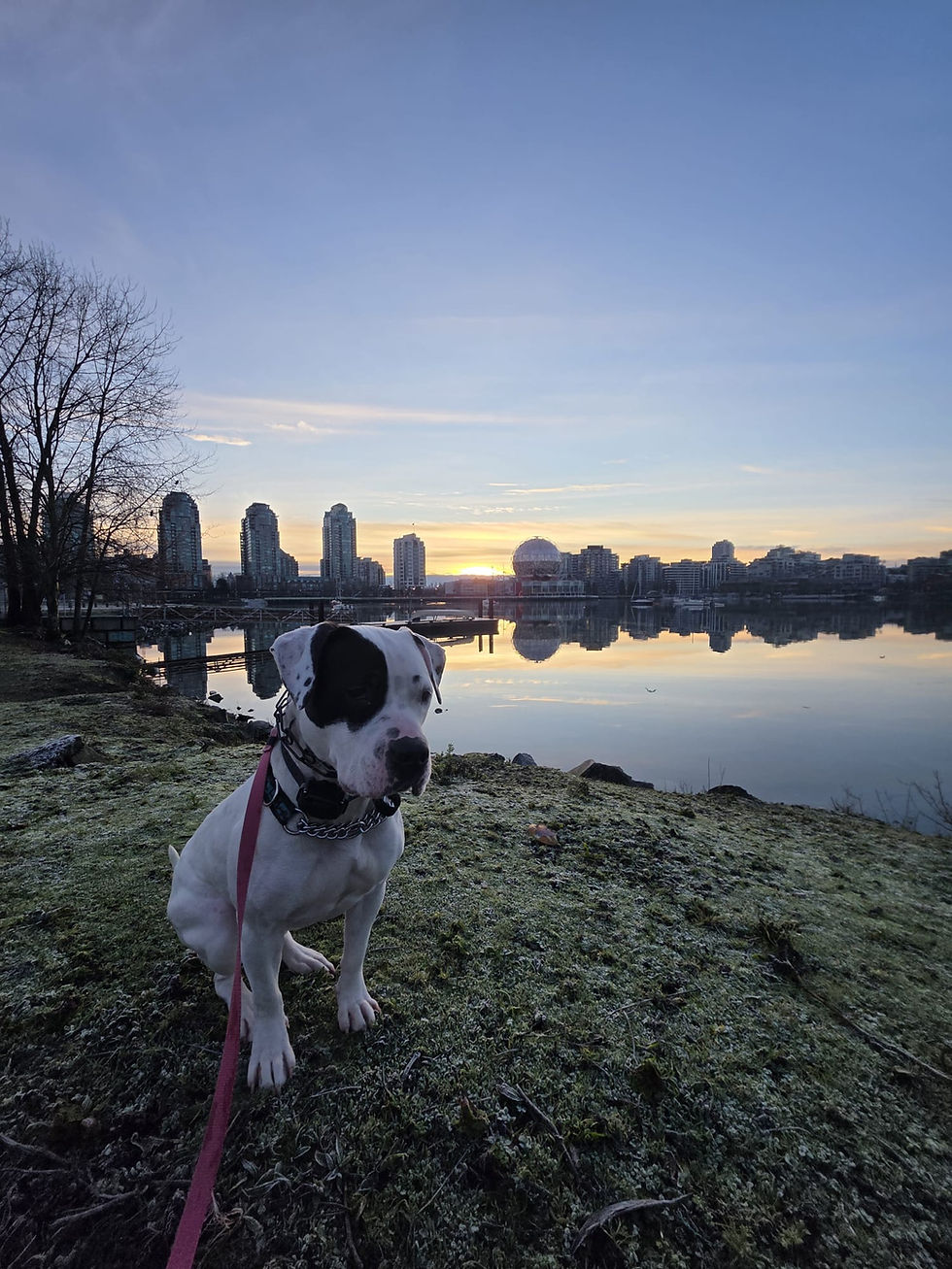 5be5597c-ce23-487d-8279-0ecadea2a4ce