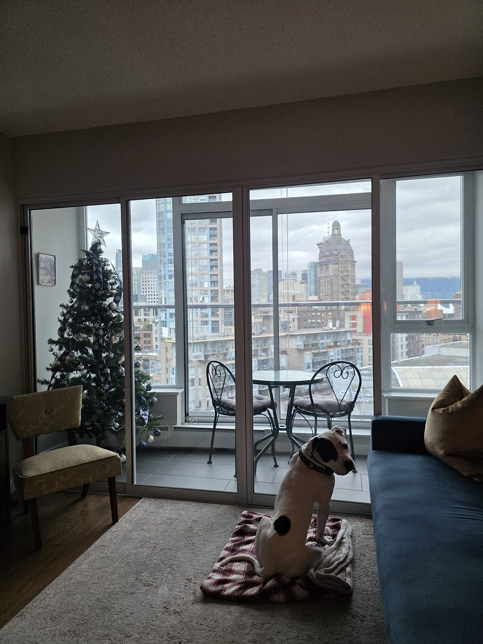 67d268b0-1e68-46d0-9ac8-141f16359f26