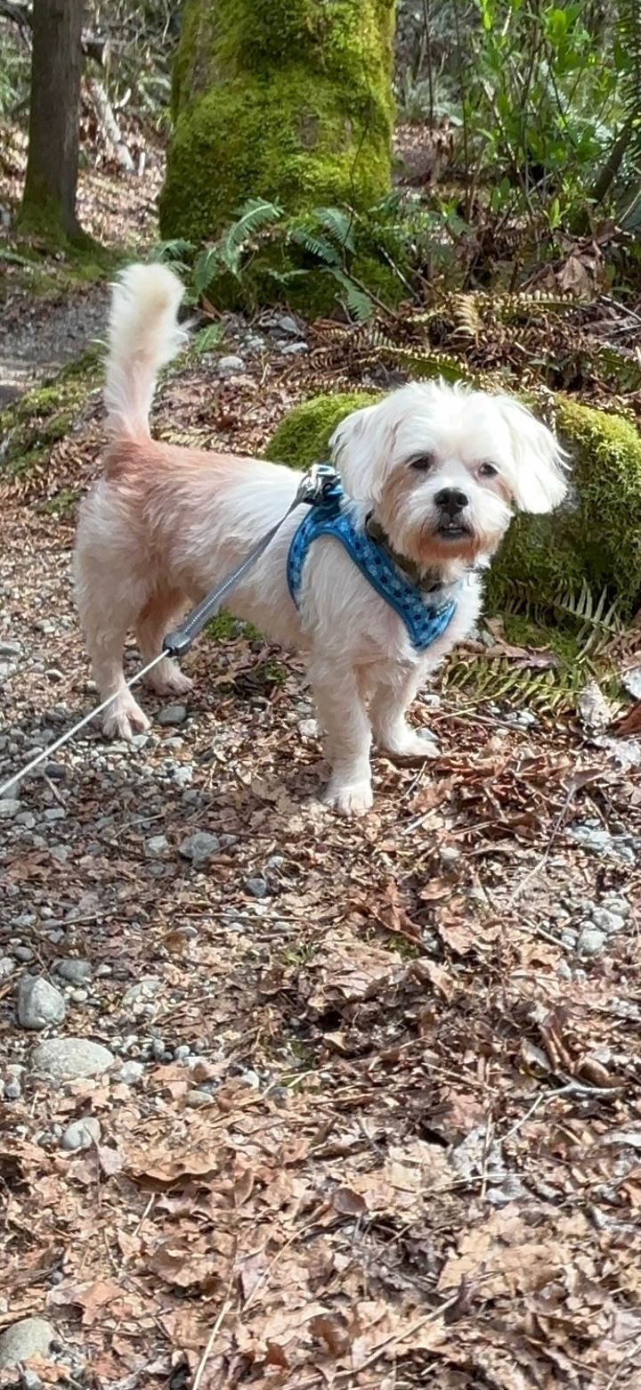 debb7939-6e58-454d-9b7b-085617a049f1