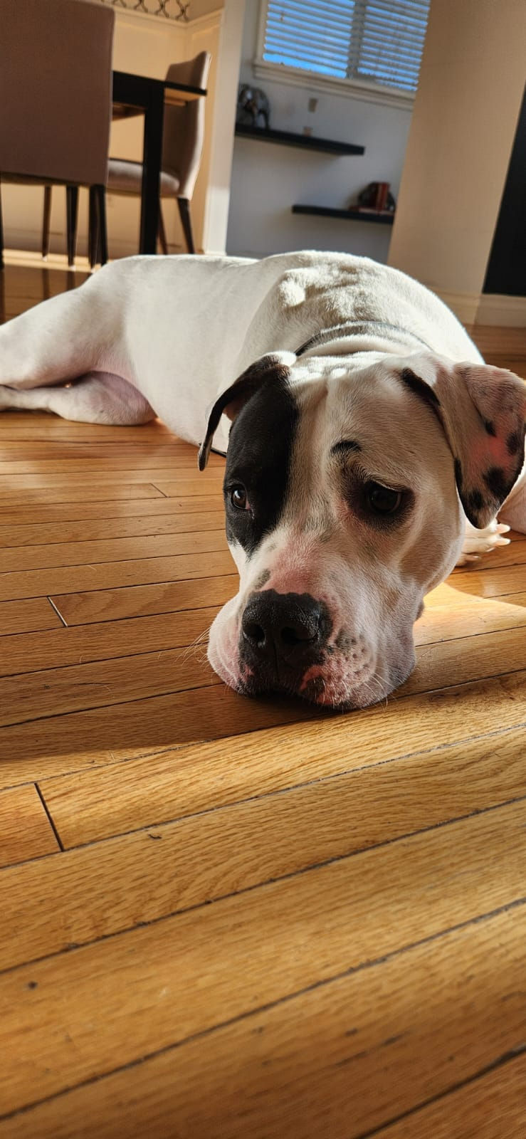 2d784ad2-be83-4688-b9dc-420dac8aa1b7