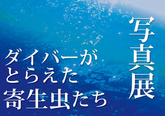 「ダイバーがとらえた寄生虫たち」