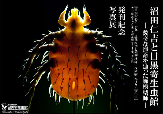 ガンは伝染する! : 恐るべき寄生虫症の真相 Amazon.co.jp: 笹川 英資: 本、バイオグラフィー、最新アップデート