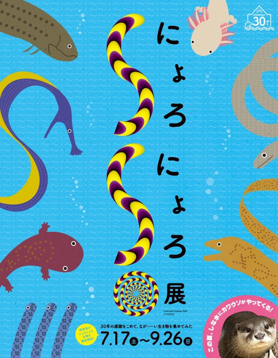 しながわ水族館 夏の特別展 にょろにょろ展 に協力