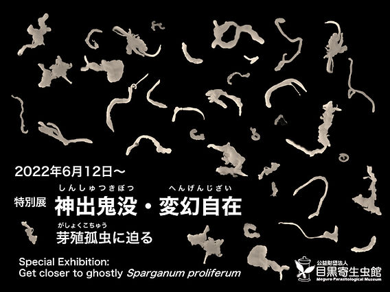 ガンは伝染する! : 恐るべき寄生虫症の真相 Amazon.co.jp: ガンは伝染する: 恐るべき寄生虫症の真相 : 笹川