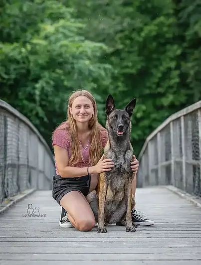 preview-2.webp