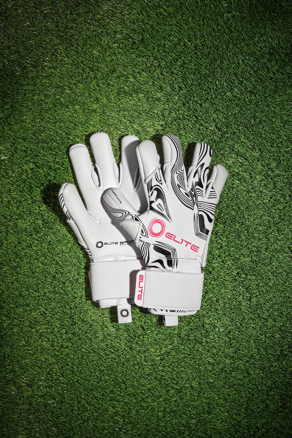 Miniatura: Elite Nobre Art