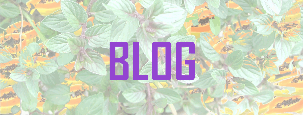 BLOGzz.gif
