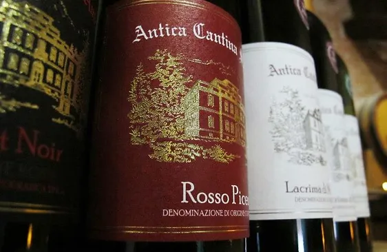 Antica Cantina Sant Amico Historic Italian Winery Location Marche