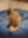 20211210_183949.jpg