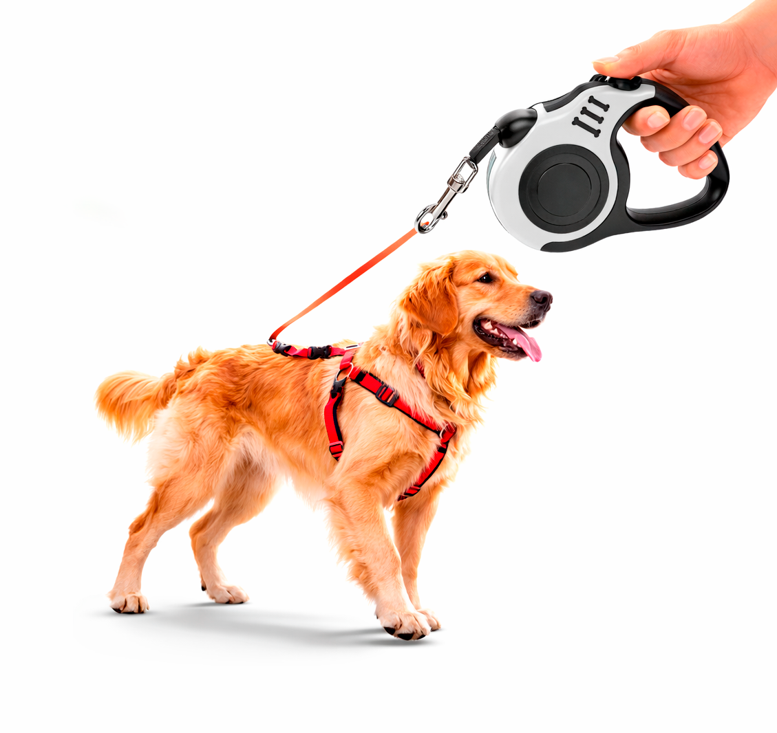Retractable Dog Lead – Anti-Tangle Smooth Control Leash