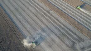 Exoneraciones por inversiones automáticas en el sector agropecuario.