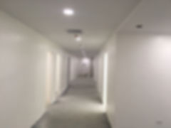 11427209_711160495661172_4213703770967795262_n.jpeg