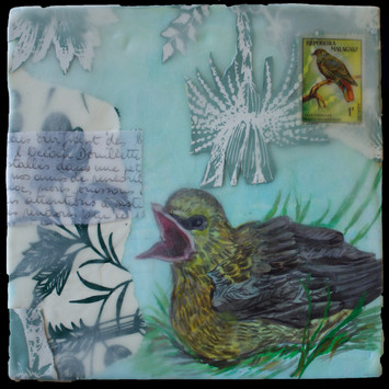 Baby Bird, 2017