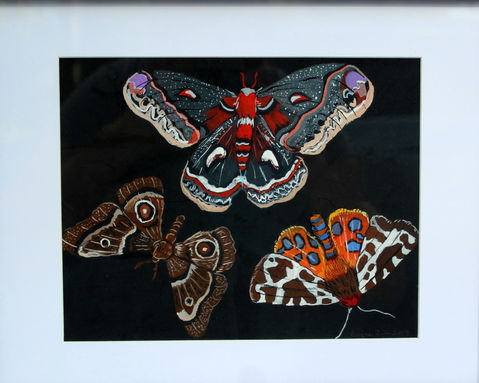 3 Moths, 2019 (Sold)