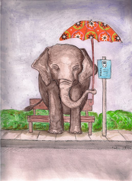 Bus Stop Elephant