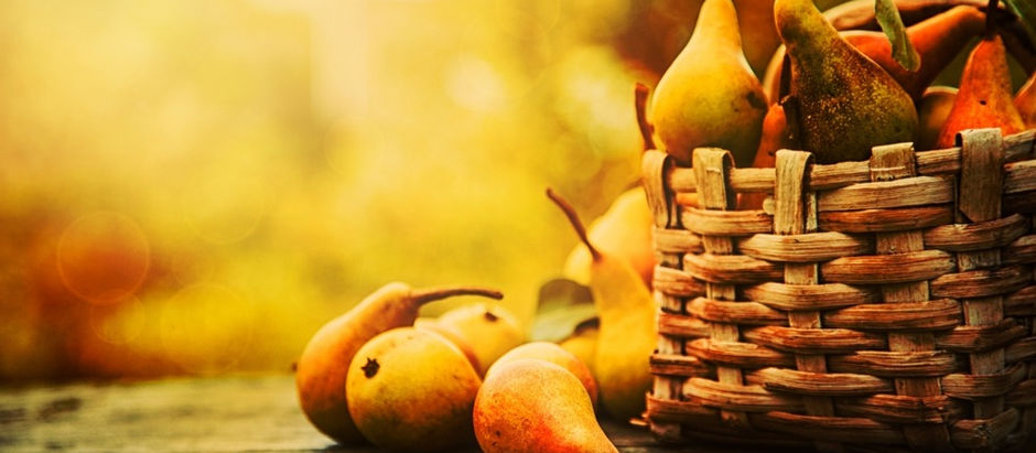 Le Bien-Être Respiratoire en Automne