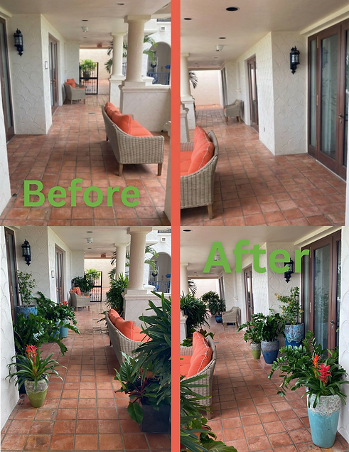 Remove Plants From Photo (1).png