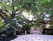 ​Landscape Design & Installation